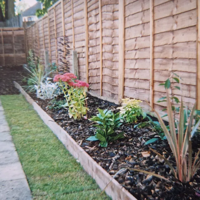 Garden border with new fence