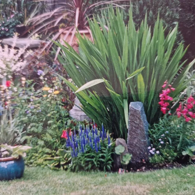 Garden flower bed