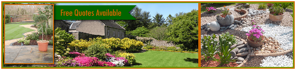 Tree Work & Garden Clearance