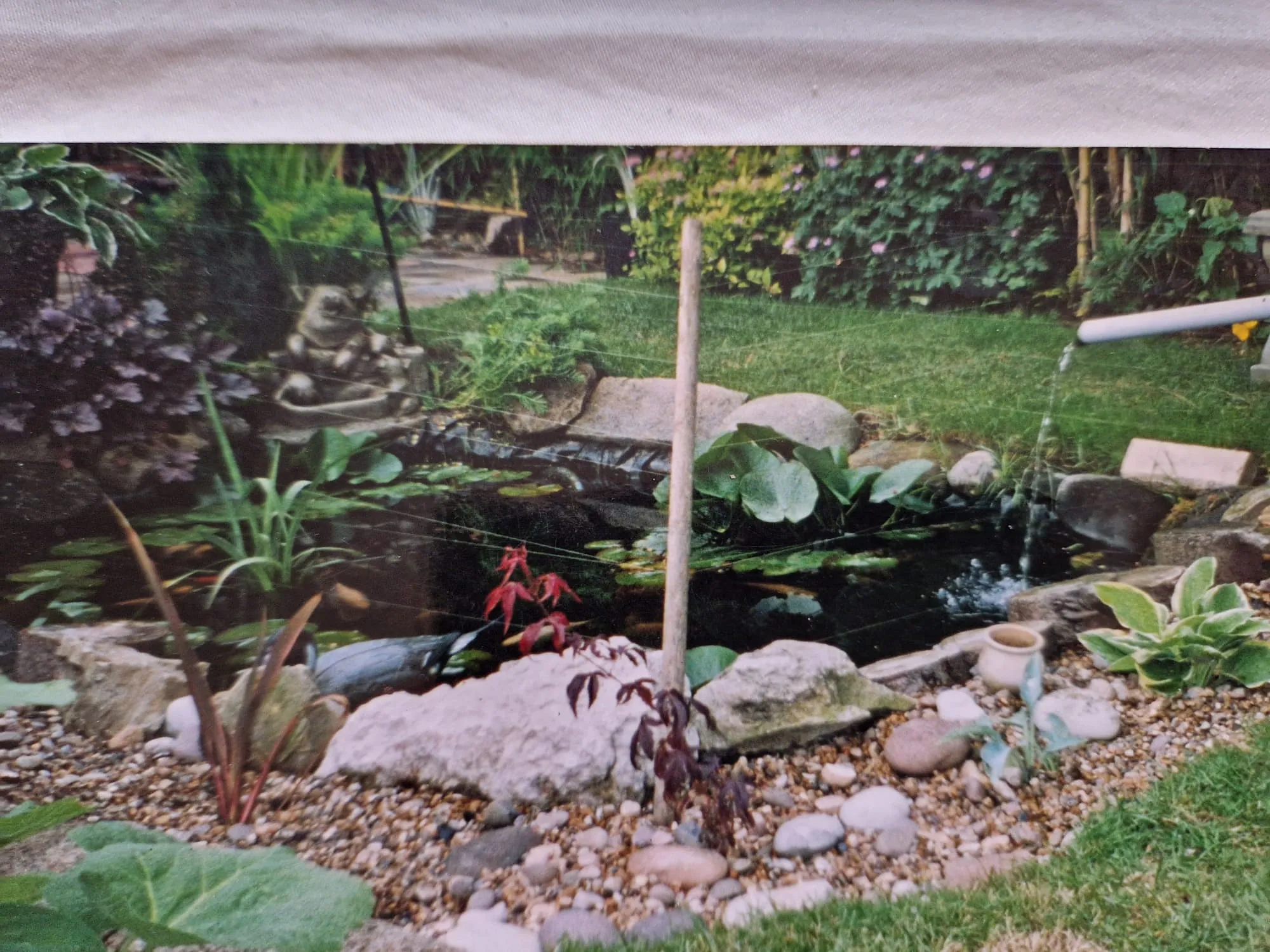 Garden pond