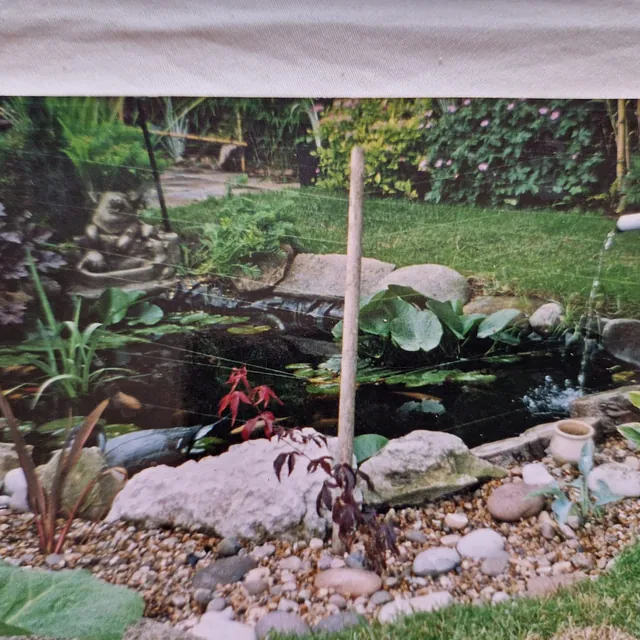 Garden pond