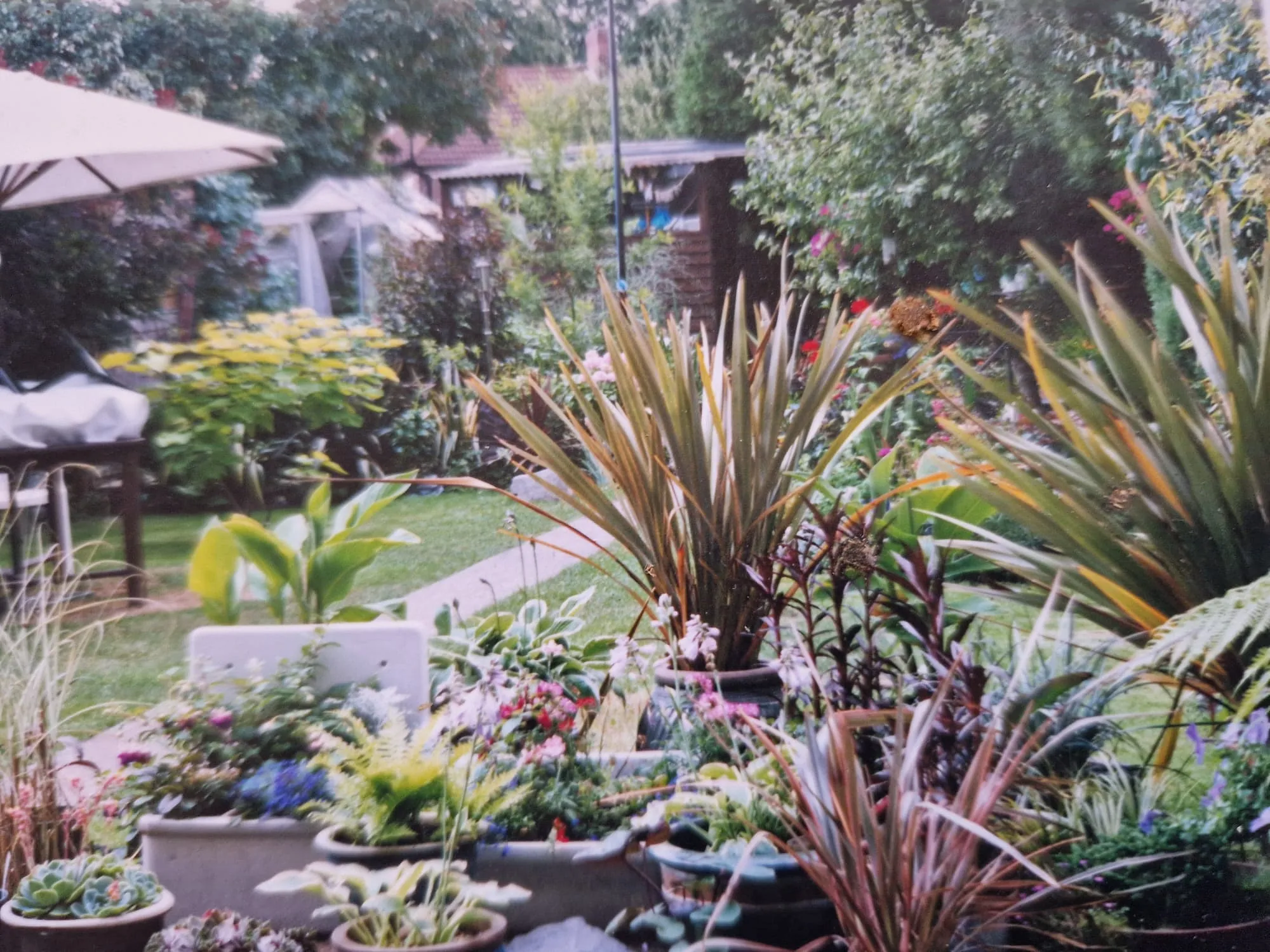 Garden plants