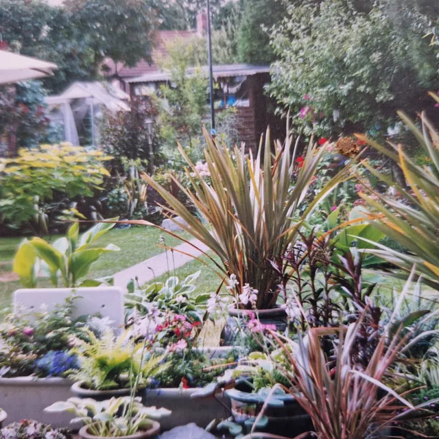 Garden plants